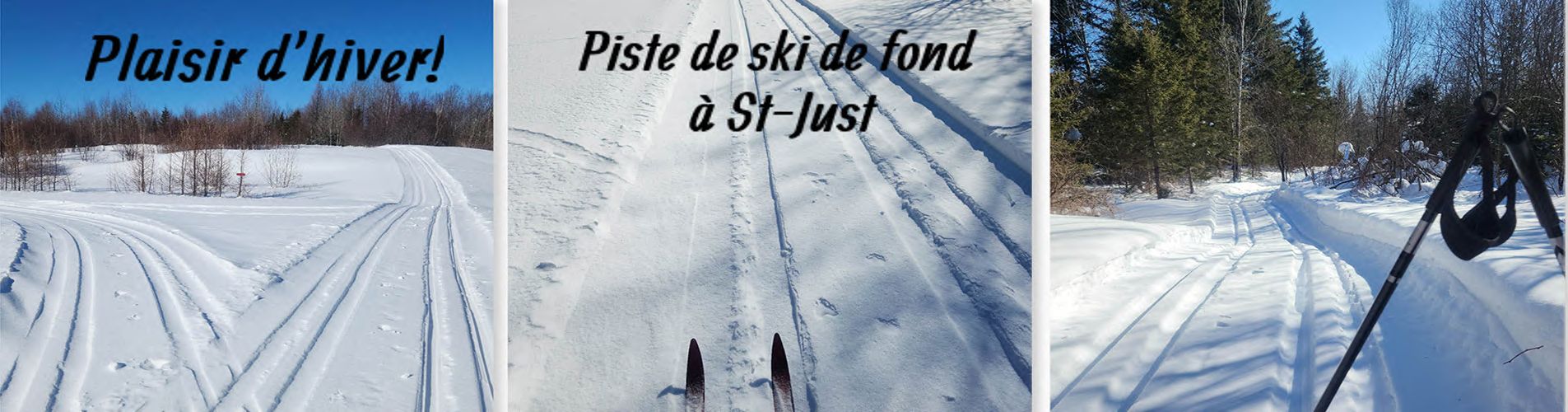 Ski De Fond